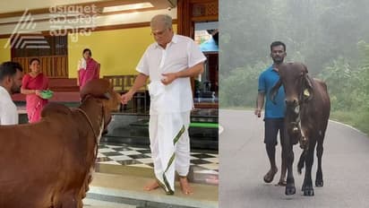 Mangaluru: 360 ಕಿ.ಮೀ ನಡೆದು ಗಿರ್ ಕರುವಿನ ಜೊತೆ ಧರ್ಮಸ್ಥಳ ತಲುಪಿದ ಯುವಕ!