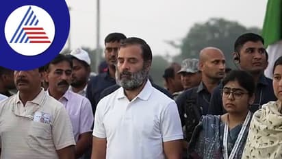 ജോഡോ യാത്രയുടെ ഇടവേളയിൽ ഗുജറാത്തില് പ്രചാരണത്തിന് രാഹുല് എത്തുന്നു