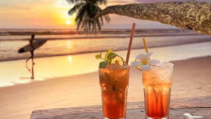 Why Club Mahindra Membership is Best Travel Investment