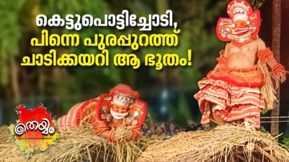 കെട്ടുപൊട്ടിച്ചോടി, പിന്നെ പുരപ്പുറത്ത് ചാടിക്കയറി ഒരു ഭൂതം!