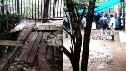 വയനാട്ടുകാരുടെ ഉറക്കം കെടുത്തി വീണ്ടും കടുവയുടെ ആക്രമണം; ബീനാച്ചിയിൽ വളർത്തു മൃഗങ്ങളെ കൊന്നു