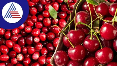 Cherry for Health: ರುಚಿ ಮಾತ್ರವಲ್ಲ, ಆರೋಗ್ಯಕ್ಕೂ ಒಳ್ಳೆಯದು ಚೆರ್ರಿ