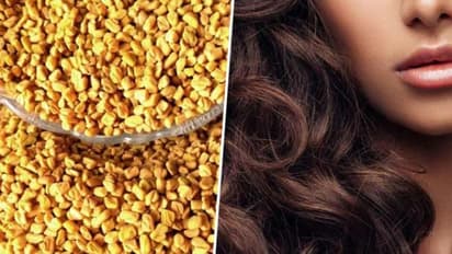 തലമുടി കൊഴിച്ചില് തടയാന് പരീക്ഷിക്കാം ഉലുവ കൊണ്ടുള്ള ഈ ഏഴ് ഹെയര് മാസ്കുകള്...