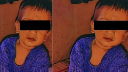 ಇರುವೆ ಕಚ್ಚಿ ಮೂರು ವರ್ಷದ ಪುಟಾಣಿ ಸಾವು, ಸಹೋದರ ಅಸ್ವಸ್ಥ