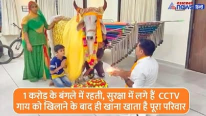 दुनिया की एक ऐसी गाय जिसके नाम से चल रही है मोटर कंपनी, चमत्कार ऐसा कि मालिक बना करोड़पति