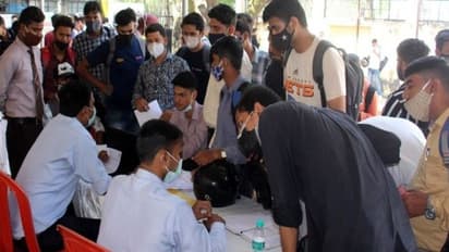 राजस्थान में लग रहा नौकरी का मेला: आठवीं पास को भी जॉब, 60 कंपनियां दे रहीं अपॉइंटमेंट, बस रखी एक शर्त