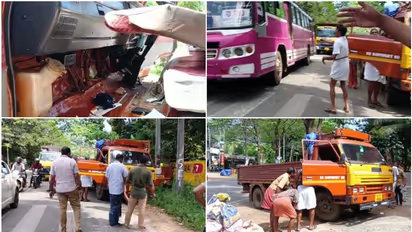 സീറ്റിൽ പാമ്പ്, 30 കി.മീ സഞ്ചരിച്ചപ്പോൾ തലപൊക്കി; വടക്കാഞ്ചേരിയിൽ യാത്രക്കാരെ പരിഭ്രാന്തമാക്കിയ അരമണിക്കൂർ!