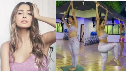 കയ്യില് ചൂരല്വടിയുമായി വര്ക്കൗട്ട് ചെയ്യുന്ന മലൈക അറോറ; വീഡിയോ