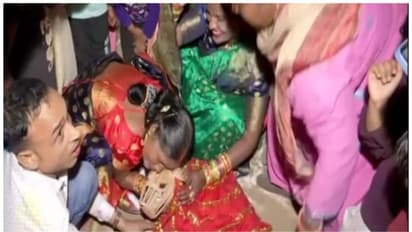 സ്വീറ്റിയും ഷേരുവും വിവാഹിതരായി; ഹല്ദിയും ആഘോഷങ്ങളുമായി വളർത്തുനായ്ക്കളുടെ വിവാഹം; വൈറൽ വീഡിയോ