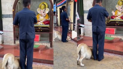 ವಿಘ್ನ ನಿವಾರಕನಿಗೆ ತಲೆಬಾಗಿಸಿ ಕೈ ಮುಗಿದ ಶ್ವಾನ... ವಿಡಿಯೋ ವೈರಲ್