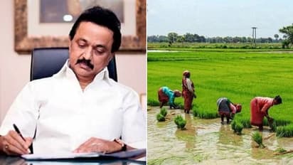 விவசாயிகளின் பயிர்க்காப்பீட்டிற்கான காலவரம்பை நீட்டிக்க வேண்டும்.. மத்திய அமைச்சருக்கு முதல்வர் கடிதம்