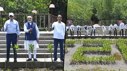 G20 Summit Day 2: PM Modi, other world leaders visit mangrove forest in Bali, plant saplings