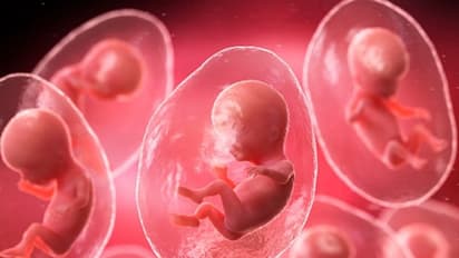 Egg Freezing ಎಂದರೇನು?  ಗರ್ಭಧರಿಸುವ ಈ ವಿಧಾನದಿಂದ ಅಪಾಯ ಇದ್ಯಾ? 