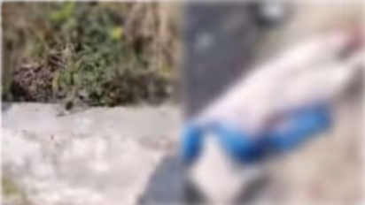 വെട്ടിമുറിക്കപ്പെട്ട നിലയിൽ യുവതിയുടെ മൃതദേഹം കിണറ്റില്; തലയില്ല, കൊല്ലപ്പെട്ടത് 22കാരി