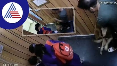 ಲಿಫ್ಟ್ನಲ್ಲಿ ಪುಟ್ಟ ಬಾಲಕನ ಕಚ್ಚಿ ಎಳೆದಾಡಿದ ಬೇರೆಯವರ ಸಾಕುನಾಯಿ