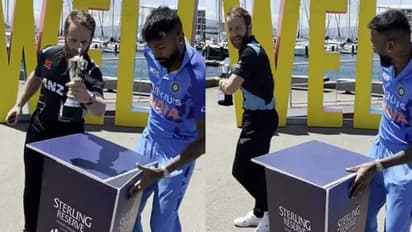 കാറ്റിലാടുന്ന ട്രോഫി! നിലത്ത് വീഴാന്നേരം ഗംഭീര ക്യാച്ചുമായി വില്യംസണ്, ചിരിയടക്കാനാവാതെ ഹാര്ദിക്- വീഡിയോ