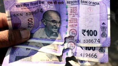 കീറിയ കറൻസി നോട്ടുകൾ ലഭിച്ചോ? ഇവ എങ്ങനെ മാറ്റി വാങ്ങാം