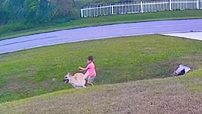 ആറ് വയസുകാരന്റെ ജീവൻ രക്ഷപ്പെടുത്തുന്ന വളര്ത്തുനായ; വീഡിയോ