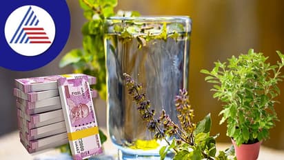 Vastu Tips: பணத்தட்டுப்பாடு இருக்கா? துளசி கொண்டு இந்த பரிகாரம் செய்யுங்க  பணம் தீராது..!!