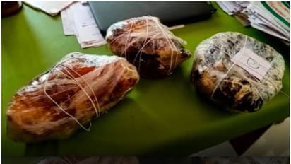 അപകടത്തില്പ്പെട്ട കാറില് നിന്ന് 10 ലക്ഷം രൂപ വില വരുന്ന തിമിംഗല ഛര്ദ്ദി പിടികൂടി