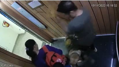 ആറ് വയസുകാരനെ വളർത്തുനായ കടിച്ചു, ഉടമയ്ക്ക് പതിനായിരം രൂപ പിഴ, ചികിത്സാ ചെലവും വഹിക്കണം