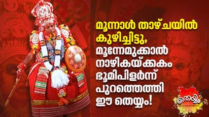 മൂന്നാള്‍ കുഴിയില്‍ നിന്നും ഉയിര്‍ത്ത പെണ്‍കരുത്ത്, ചെമ്പും തന്ത്രിമാരെയും കണ്ടാല്‍ അടിയുറപ്പ്!