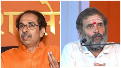 'സവർക്കറോട് ബഹുമാനം, രാഹുൽ പറഞ്ഞതിനോട് യോജിക്കുന്നില്ല'; നയം വ്യക്തമാക്കി ഉദ്ധവ് താക്കറേ