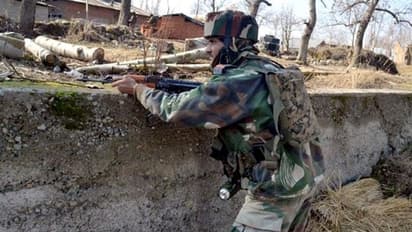 आतंकवादियों को पैसा मुहैया करा रहे ड्रग्स माफिया और गो-तस्करों पर कसेगी नकेल, J&K के डीजीपी ने कही ये बड़ी बात