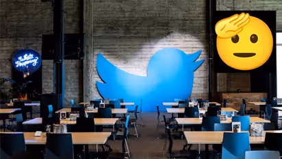 हार्डकोर Twitter 2.0 से भूचाल, Blue tick की री-लॉन्चिंग से पहले एम्लॉयज के गुस्से से डरे मस्क ने बंद किए ऑफिस