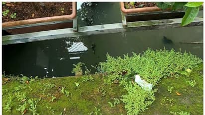 കൊച്ചി നഗരത്തിലെ കാനയിൽ വീണ് മൂന്ന് വയസുകാരന് പരിക്ക്