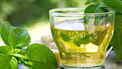 ಗಿಡಮೂಲಿಕೆ ಚಹಾ ಸೇವಿಸುವುದು ಒಳ್ಳೆದು ಯಾಕ್ ಗೊತ್ತೆ? ಈ ಸ್ಟೋರಿ ಓದಿ