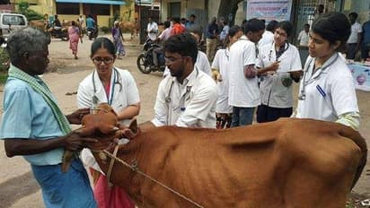 தமிழக கால்நடை பராமரிப்பு பிரிவில் காலிப்பணியிடங்கள்... விண்ணப்பிக்க கடைசி தேதி எப்போது? விவரம் உள்ளே!!