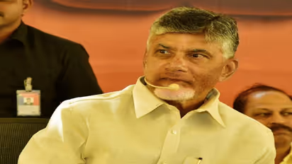 స్కిల్ కేసు: 17 ఏ సెక్షన్ అంటే ఏమిటీ,ఏం చెబుతుంది?