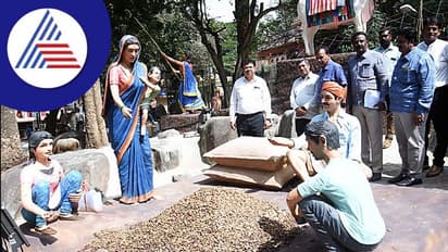 ನಾಳೆ ಸಂಜೆ ಐತಿಹಾಸಿಕ ಬಸವನಗುಡಿ ಕಡ್ಲೆಕಾಯಿ ಪರಿಷೆಗೆ ಸಿಎಂ ಚಾಲನೆ