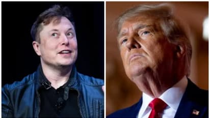 'ട്രംപിനെ ട്വിറ്ററിൽ തിരിച്ചെത്തിക്കണോ വേണ്ടയോ'; വോട്ടിംഗ് നടത്തി എലോൺ മസ്ക്, പ്രതികരണം ഇങ്ങനെ