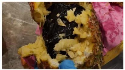 പൈനാപ്പിളിനകത്ത് കഞ്ചാവ്; യാത്രക്കാരന് വിമാനത്താവളത്തില് പിടിയില്