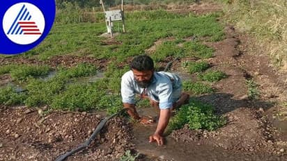 ದಿವ್ಯಾಂಗ ವ್ಯಕ್ತಿಯ ಕೃಷಿ ಕಾಯಕಕ್ಕೆ ಬೆಕ್ಕಸ ಬೆರಗಾದ ಕಲಬುರಗಿ ಮಂದಿ..!