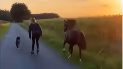 വളര്‍ത്തുനായക്കും കുതിരയ്ക്കുമൊപ്പം സ്കേറ്റിംഗ് ചെയ്യുന്ന യുവതി; വൈറലായി വീഡിയോ 