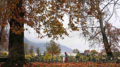Weather Report: कुछ दिनों के भीतर उत्तर-पश्चिम और मध्य भारत में टेम्परेचर गिरने से बढ़ेगी सर्दी