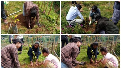 ഫലവൃക്ഷങ്ങൾ നട്ടുപിടിപ്പിച്ച്, മൂന്നാറിനെ ഹരിതാഭമാക്കാൻ അമേരിക്കൻ സ്കൂൾ ഓഫ് മുംബൈ വിദ്യാർത്ഥി സംഘം 