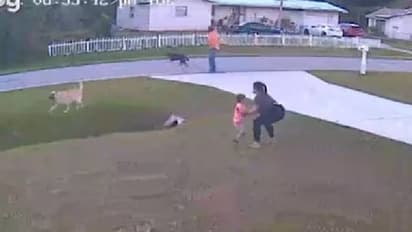 അയൽവാസിയുടെ നായയുടെ ആക്രമണം, ആറ് വയസ്സുകാരനെ രക്ഷിച്ച് സ്വന്തം വീട്ടിലെ നായ