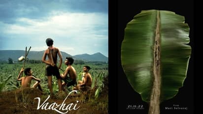 கலெக்‌ஷன் அள்ளுது... பாக்ஸ் ஆபிஸில் வசூல் வேட்டை நடத்தும் வாழை -  2ம் நாள் நிலவரம் இதோ