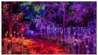 ആറു ഗിന്നസ് റെക്കോര്‍ഡുകള്‍ സ്വന്തമാക്കി 'നൂര്‍ അല്‍ റിയാദ്' ഫെസ്റ്റിവല്‍