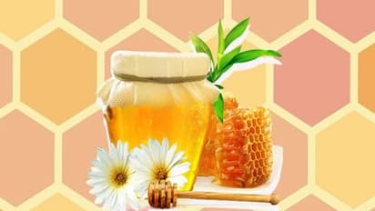 हर दिन डाइट में शामिल करें 2 चम्मच शहद, कई तरह की बीमारियों से मिलेगा छुटकारा, नए शोध में हुआ खुलासा