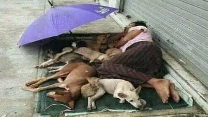 ആകെയുള്ളത് തെരുവിലെ ഇത്തിരിയിടം, അവിടം നായകൾക്ക് കൂടി പങ്കുവച്ച് മനുഷ്യൻ