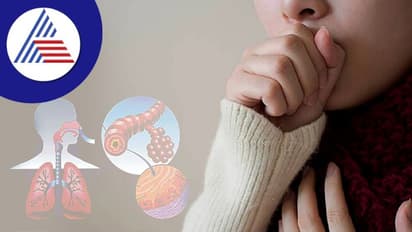 ಕೆಮ್ಮಿದಾಗ ಕಫ ಬರೋದು ಕಾಮನ್, ಆದರೆ ಆ ಕಫ ಗಂಭೀರ ಅನಾರೋಗ್ಯದ ಸೂಚಕವಾಗಿರಬಹುದು!