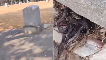 കല്ലറയിൽ നിന്നും പുറത്തേക്ക് നീണ്ട് മുടി, സെമിത്തേരിയിലെ കാഴ്ച കണ്ട് ഞെട്ടി യുവാവ് 