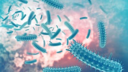 2019 ൽ ഇന്ത്യയിൽ 6.8 ലക്ഷം മരണങ്ങൾക്ക് പിന്നിൽ അഞ്ച് തരം ബാക്ടീരിയകളെന്ന് ലാൻസെറ്റ് പഠനം