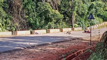 అస్సాం-మేఘాలయ సరిహద్దులో ఘర్షణ.. ఫారెస్ట్ గార్డుతో సహా నలుగురు మృతి.. అసలేం జరిగిందంటే..