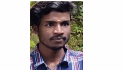 കാട്ടാനയിൽ നിന്ന് രക്ഷപ്പെടാൻ ഓടി മരത്തിൽ കയറിയ യുവാവ് വീണു മരിച്ചു